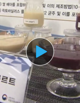 쌀요구르트