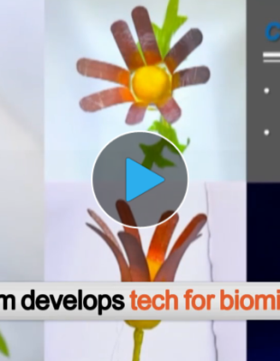 Chameleon-like Robots