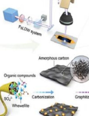 Eco-Friendly Micro-Supercapacitors Using Fallen Leaves​