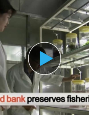 marine seed bank