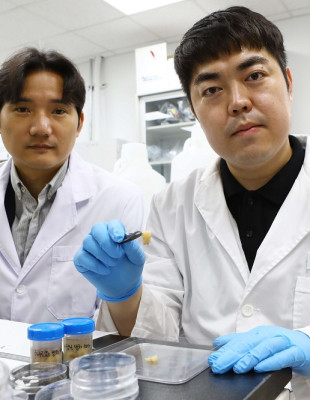 _images_000020_Professor_Hong_(left)_and_Dr._Oh_(right)