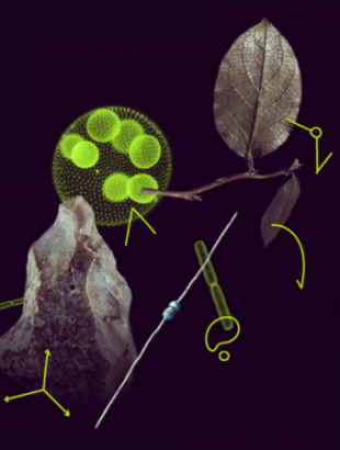 msca-postdoc-fellowship-header