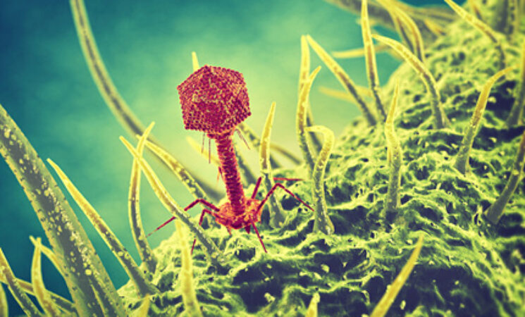 PhagoPROD, 항생제 내성 문제 해결을 위한 자연 바이러스 활용