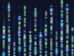 Genomic Data Reveals New Insights into Human Embryonic Development​