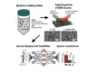 'Fingerprint' Machine Learning Technique Identifies Different Bacteria in Seconds