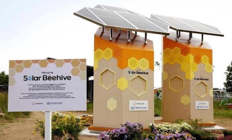 Hanhwa Group installs smart solar panel beehive to help preserve honeybees