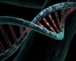 프랑스-일본 연구팀, DNA에 저장된 디지털 데이터 조작 방법 개발